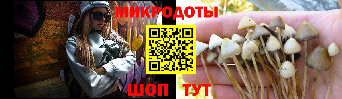 Галлюциногенные грибы мухоморы Лянтор